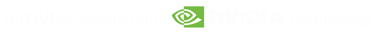 Portable NAS Storage for Business Data Security – Ciphertex